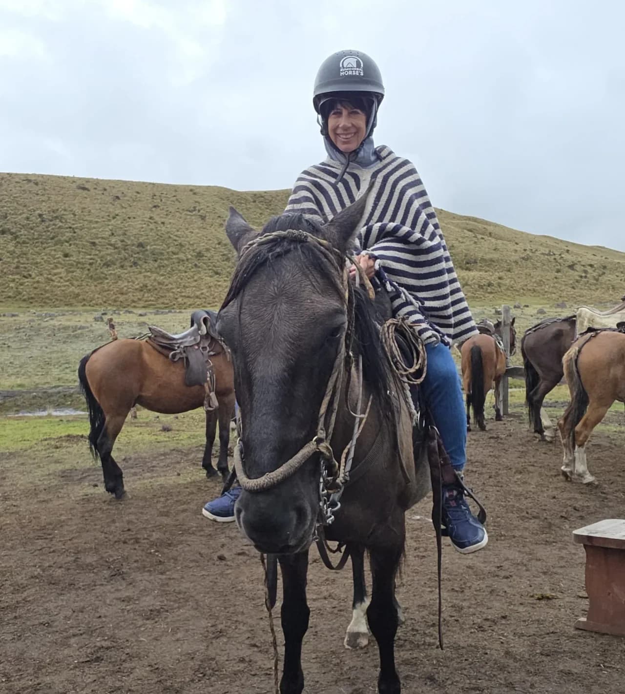 Cotopaxi Tour: Horse Ride Adventure