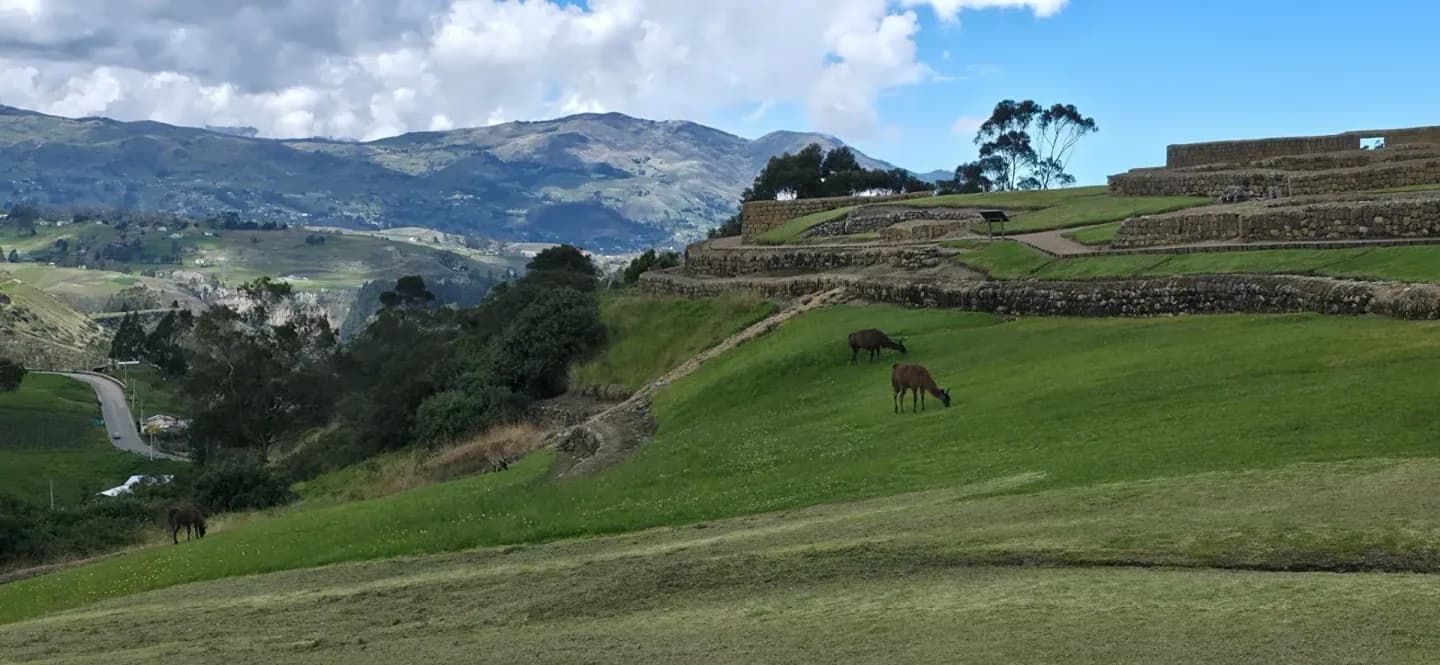 Green Andes Mountain Slopes.