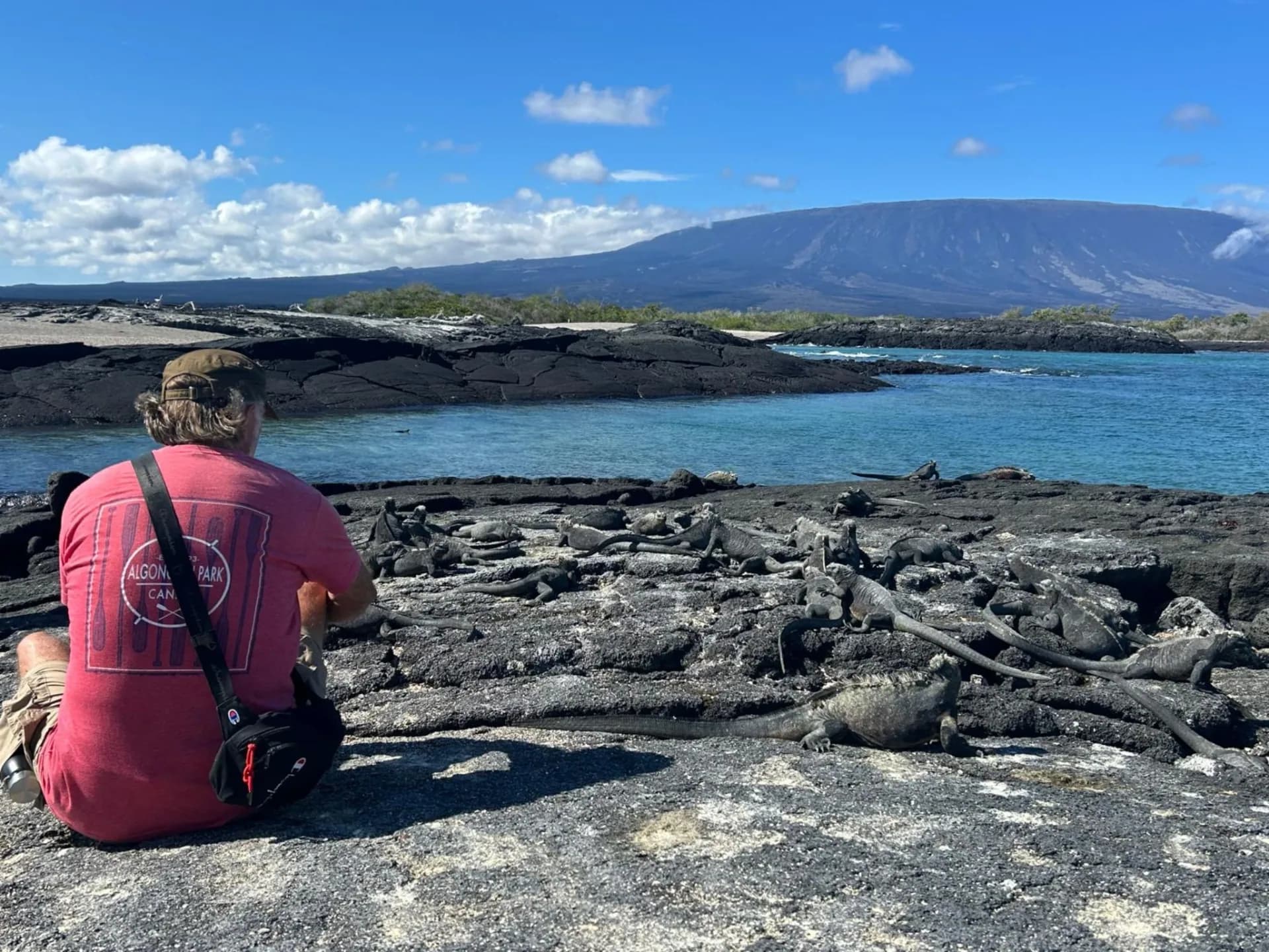 Santa Cruz and Seymour North island
