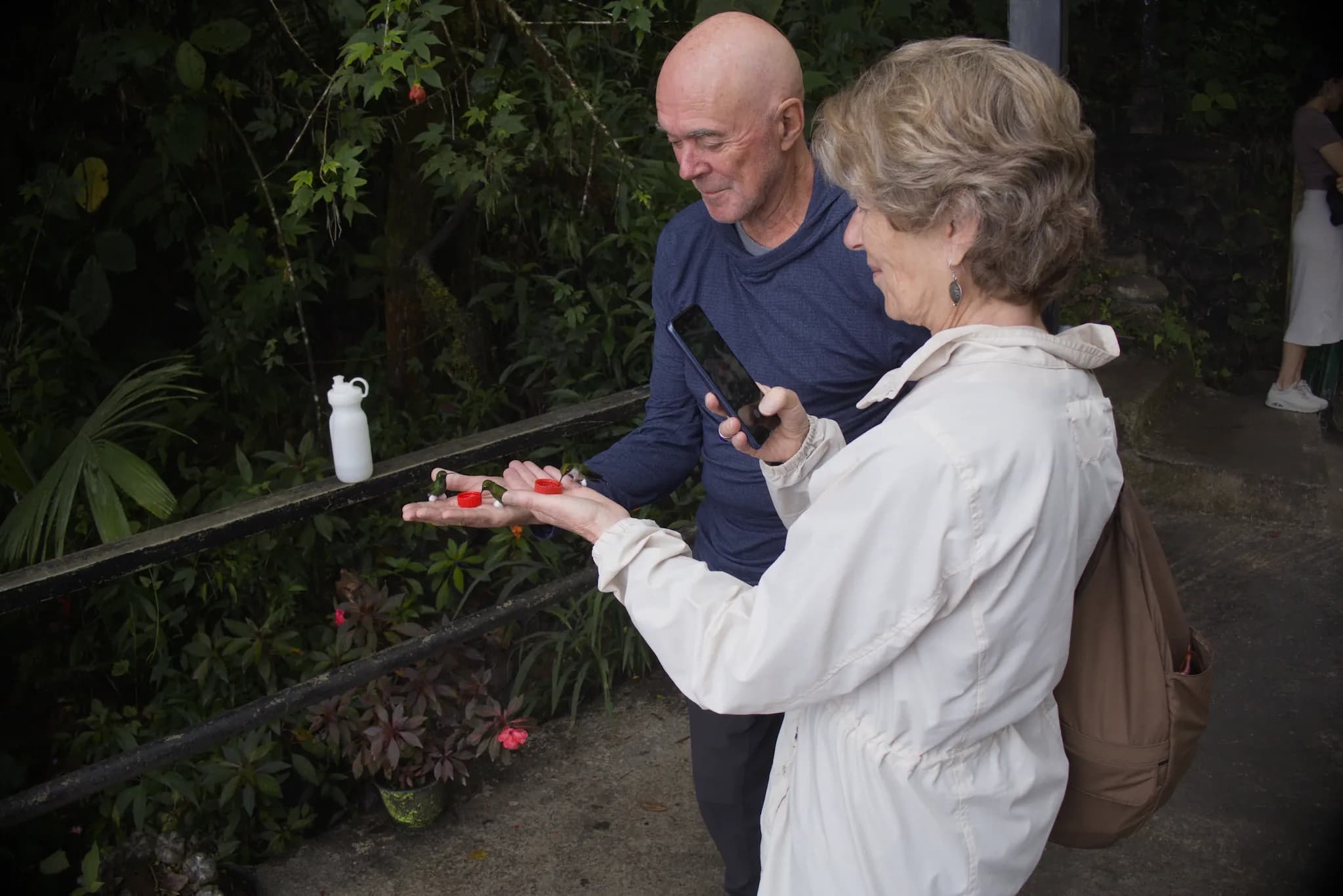 Mindo Tour: Cloud Forest Trip, 2 Days