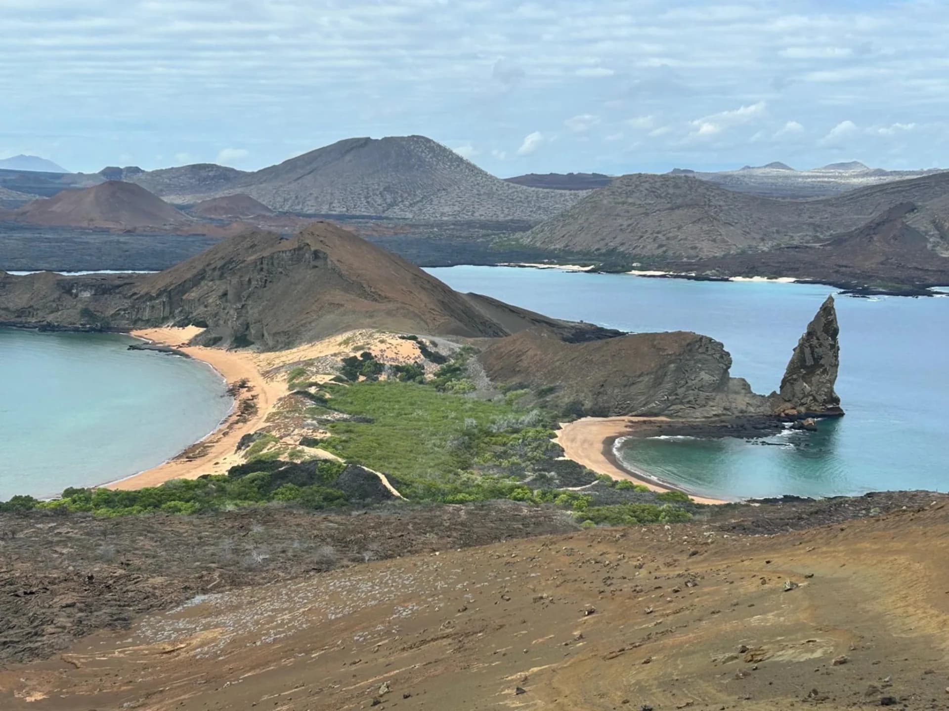 Santa Cruz and Daphne Island Tour